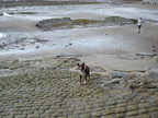 DSC00607